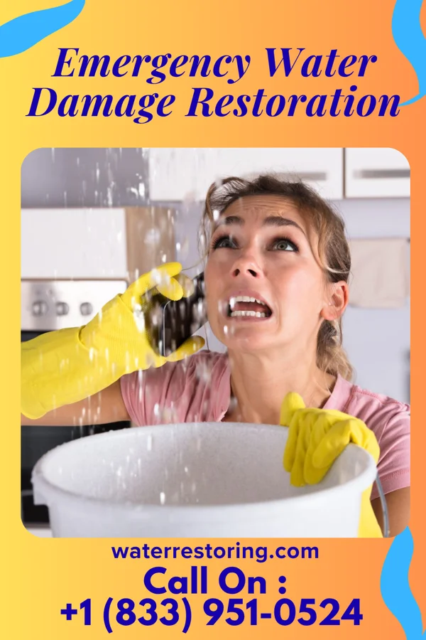 Emergency Water Damage Restoration in Wilton Manors, FL