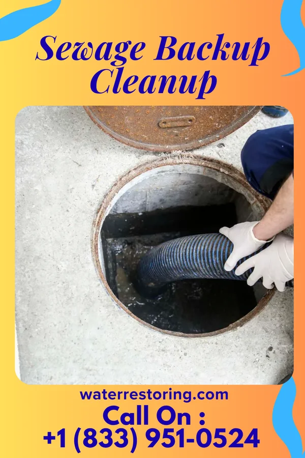Sewage Backup Cleanup in Wilton Manors, FL