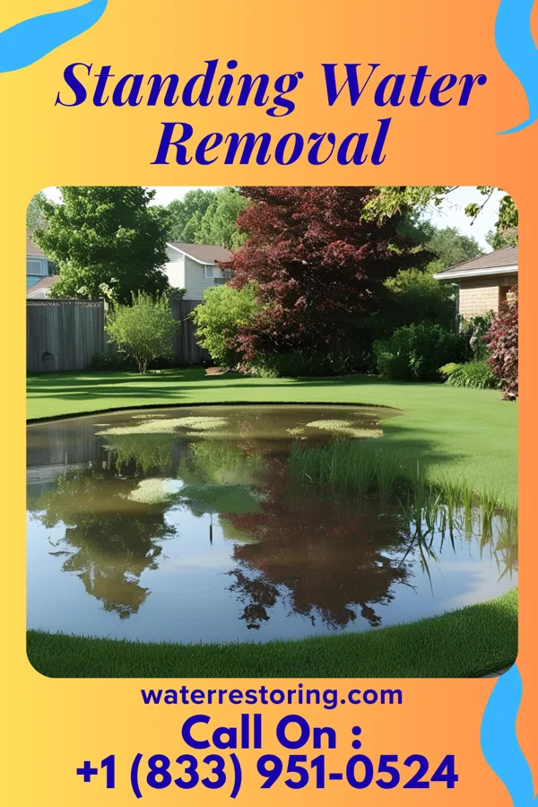 Standing Water Removal in Wilton Manors, FL